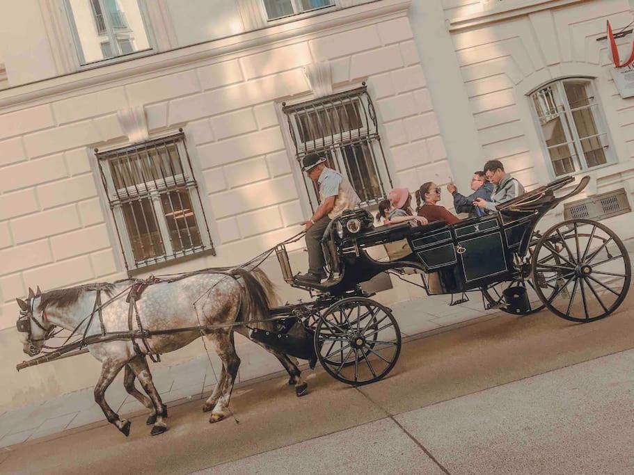 Vienna Citycenter+Terrace+Parking エクステリア 写真